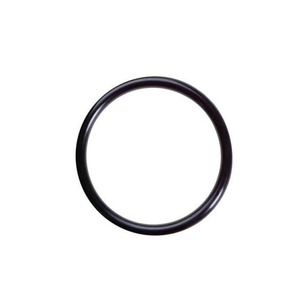 Lubing Regülatör Valf O-ring Büyük